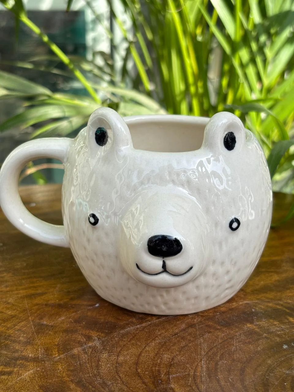 Cocoa The Bear - Image 2